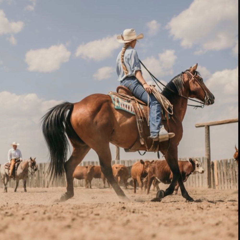 Meet your Posher, Aspen